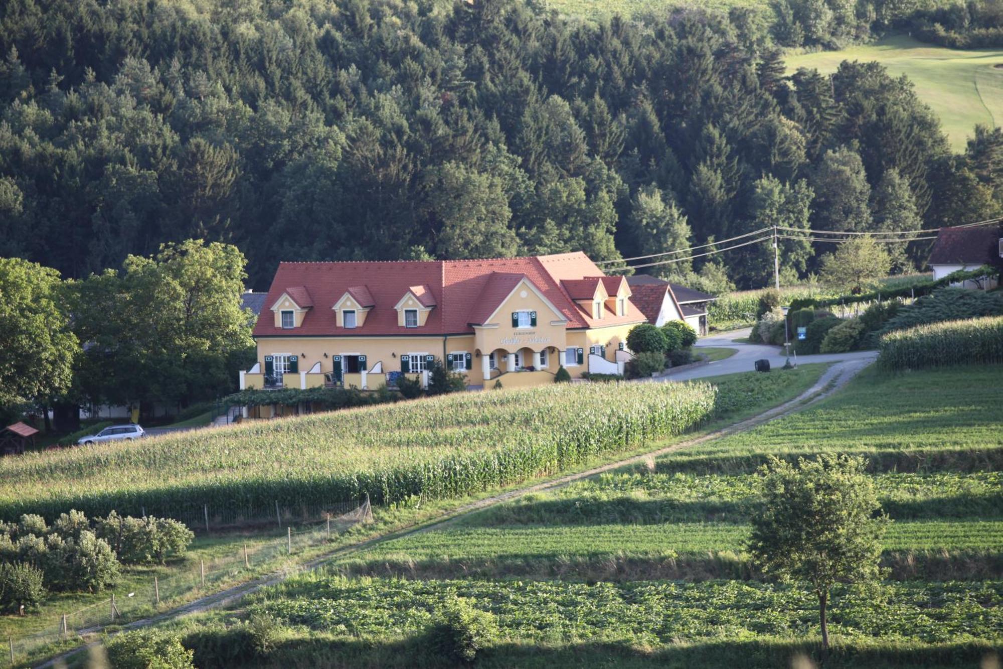Ferienhof Uhudler-Arkaden Stegersbach Habitación foto
